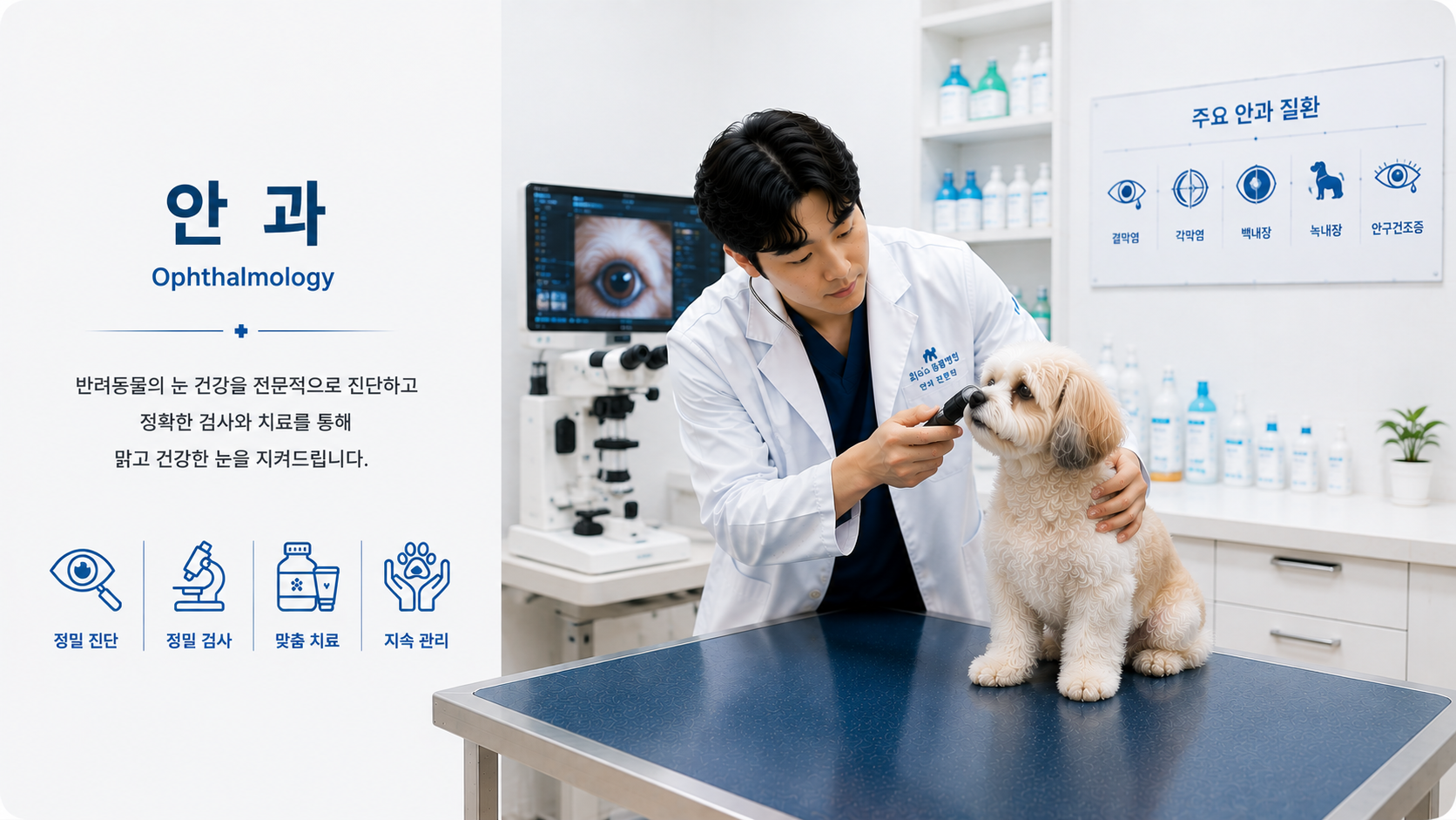 안과 대표 이미지